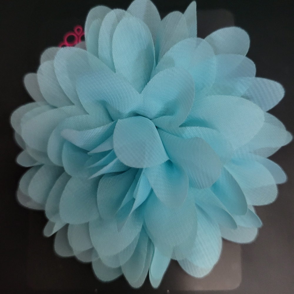 Blue hair Clip